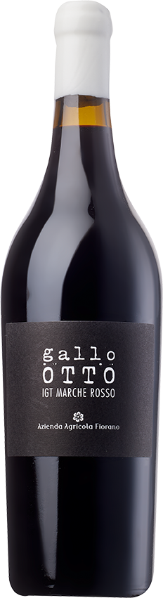 »Gallo Otto« Marche Rosso Anfora