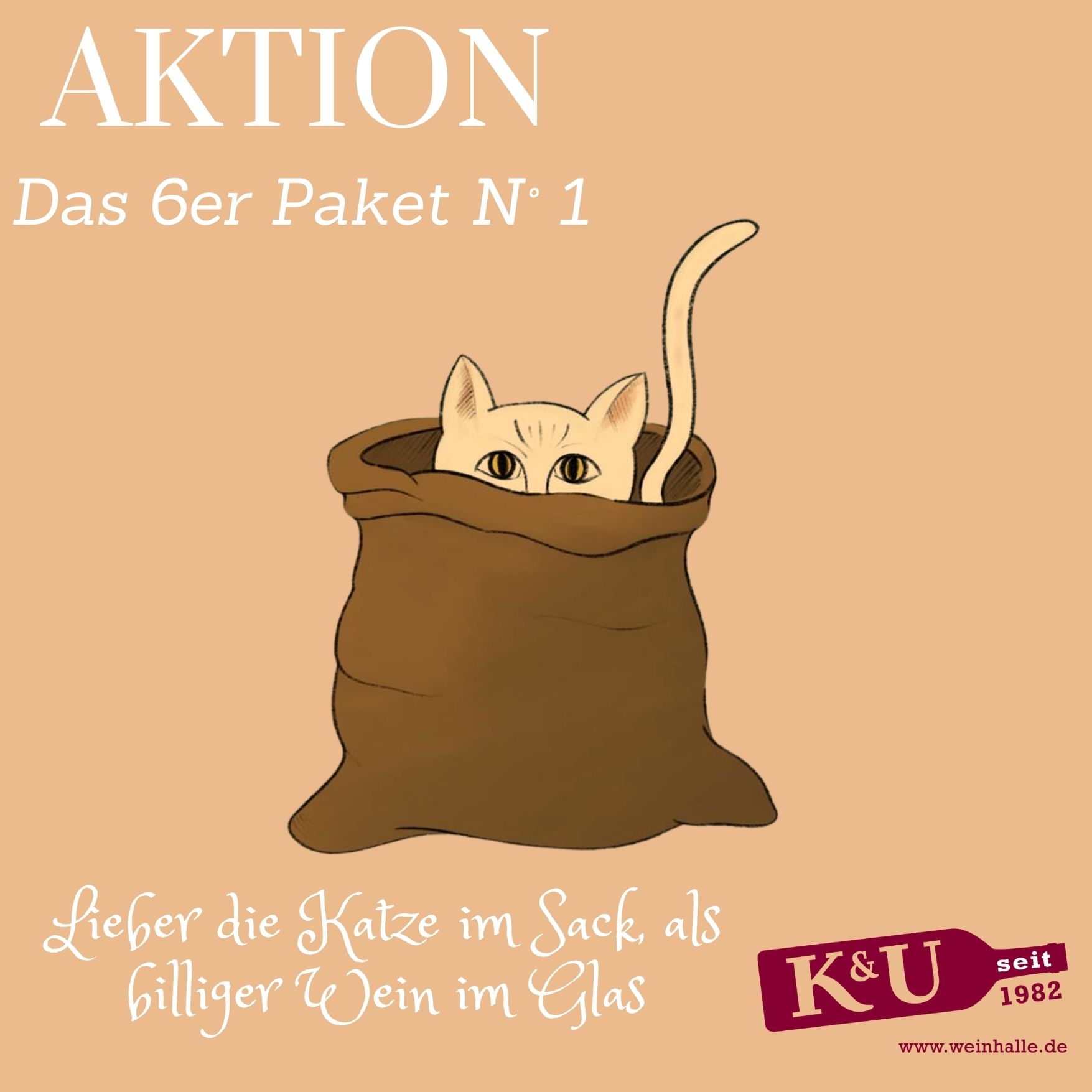 Unser »6er Katze-im-Sack-Paket« 