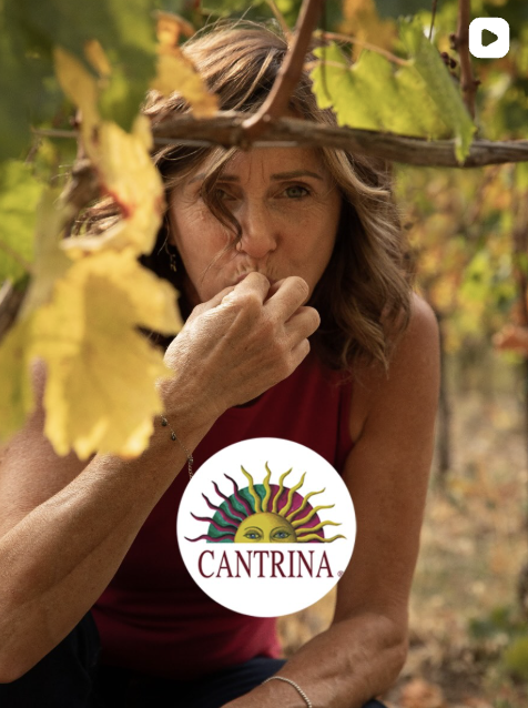 Weingut Cantrina Video-Vorschau