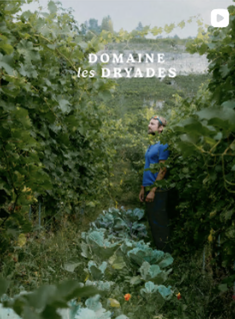 Dryades Video-Vorschau