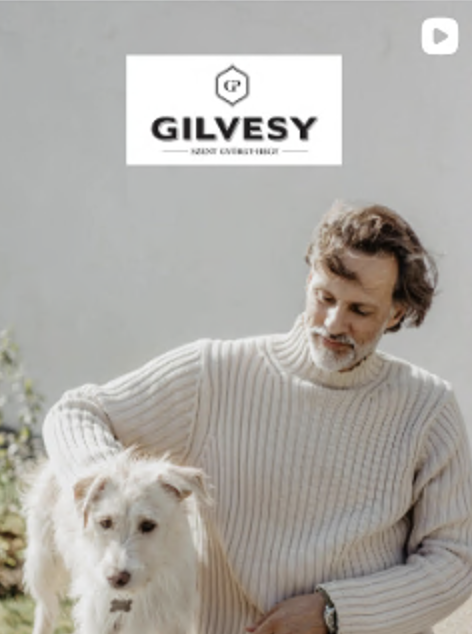 Gilvesy Video-Vorschau