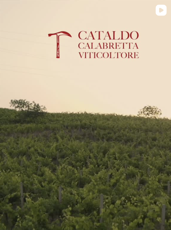 Winzer 6 Video-Vorschau