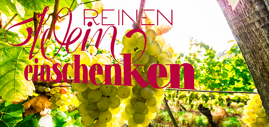 Wunderbox N°3 »Natur im Wein«