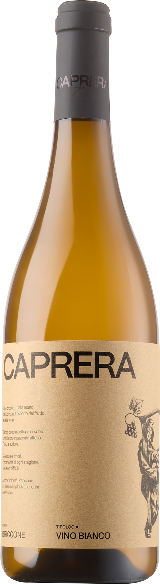 Trebbiano »Briccone«  
