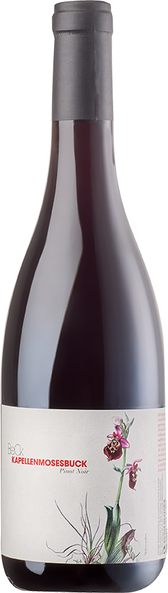 Pinot Noir »Kapellenmosesbuck«