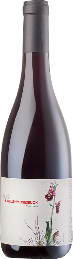 Pinot Noir »Kapellenmosesbuck« 