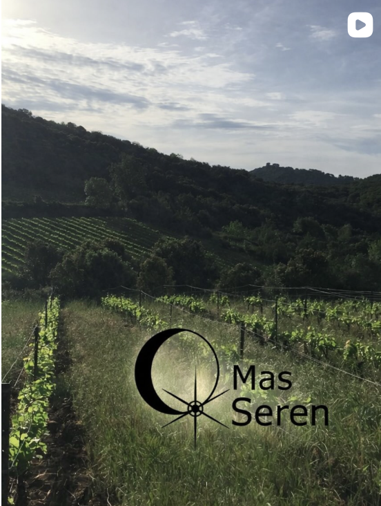 Winzer 13 Video-Vorschau