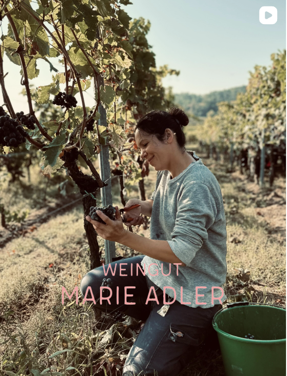 Winzer 16 Video-Vorschau