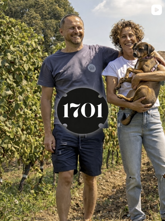 Winzer 9 Video-Vorschau