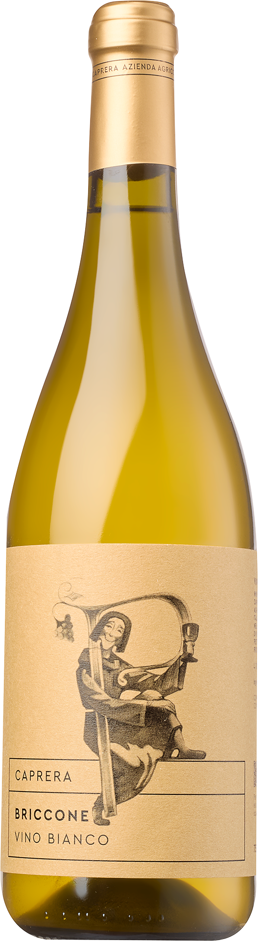 Trebbiano d´Abruzzo »Briccone«  