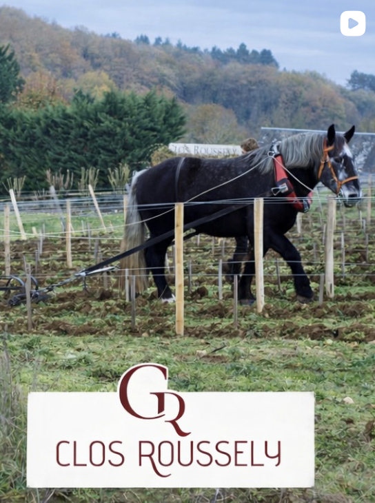 Winzer 12 Video-Vorschau