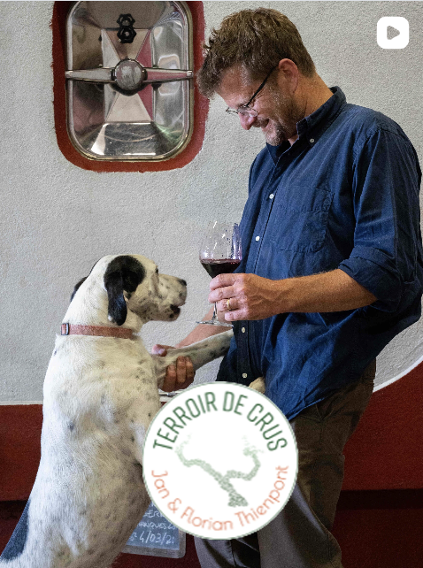 Thienpont Video-Vorschau