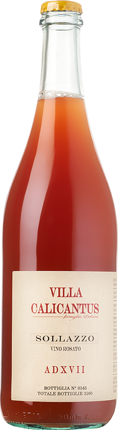 Vino Rosato Frizzante »Sollazzo« 