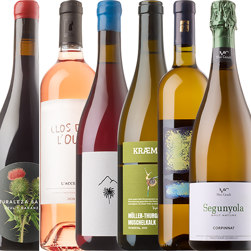»Das sommerliche Terrassen-Weinpaket« 