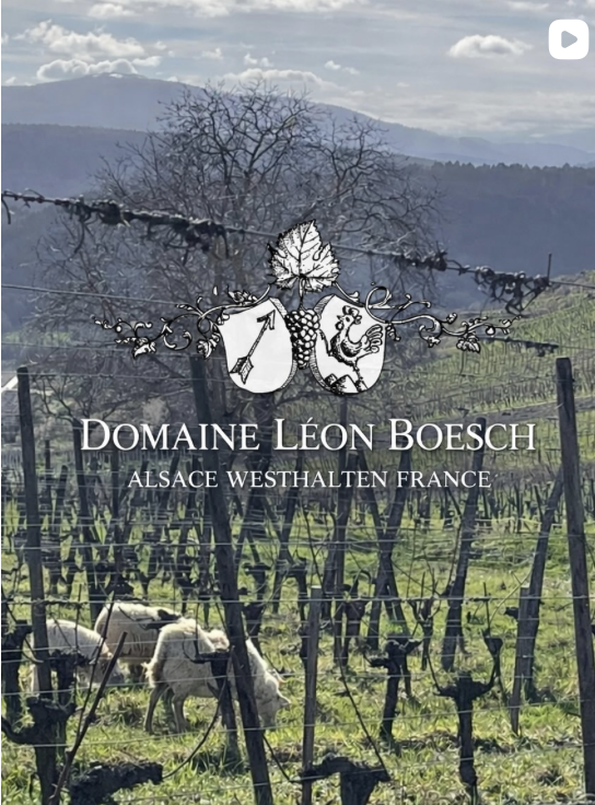 Winzer 18 Video-Vorschau